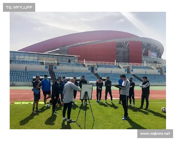 全面解析法甲冠军标志的多元类型与视觉演变发展趋势研究深度探讨