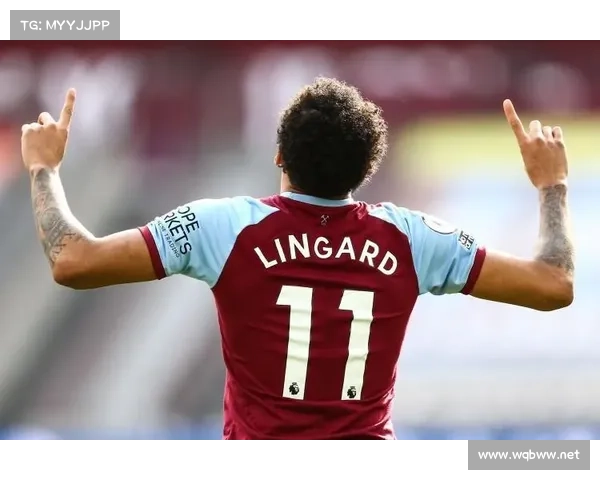 林加德被调侃现象背后的文化心理分析与社会媒体影响探讨