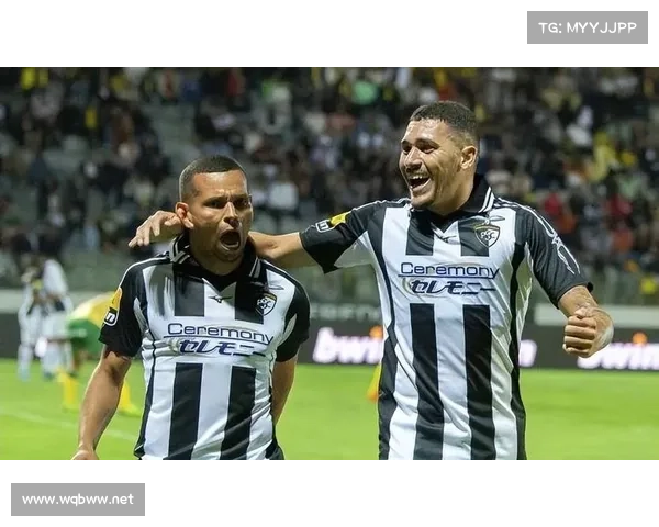 波尔蒂足球俱乐部别名及其历史背景探析