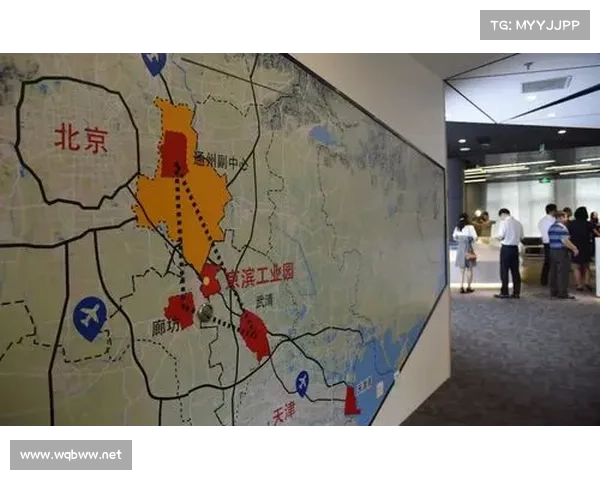 探索双羽天下经济增长新机遇 促进区域协同发展与产业升级新路径