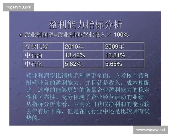 提升企业盈利能力的三大财务管理策略与实践应用分析